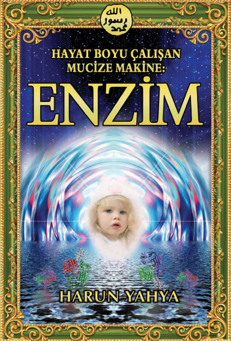 Hayat Boyu Çalışan Mucize Makine Enzim
